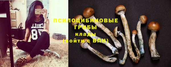 винт Зеленокумск