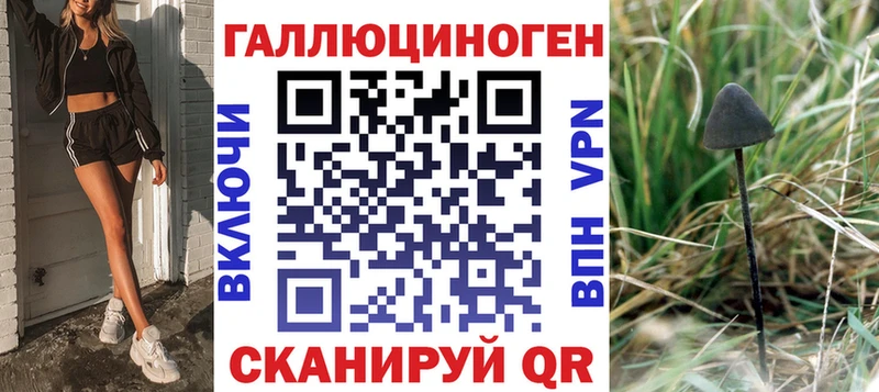 Купить где  Козловка  Псилоцибиновые грибы Cubensis 